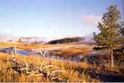 Firehole River - Yellowstone National Park