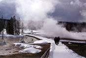 Winter in Yellowstone National Park