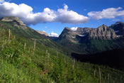 Going to the Sun Road  - Glacier National Park