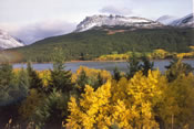 Lower Two Medicine - Glacier National Park Fall Colors
